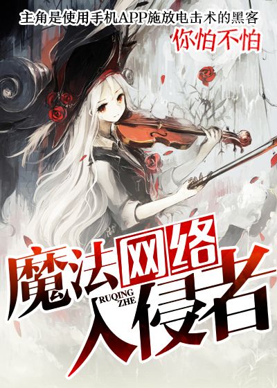 魔法网络入侵者