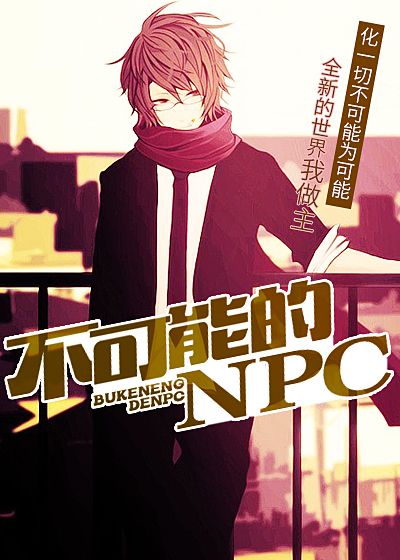 不可能的NPC